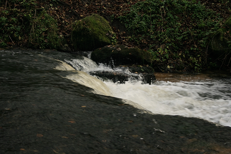 Rostoczek 11.2008 092